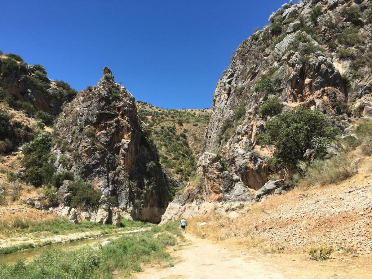فيلا La Casita, Zagra La Carrera de la Viña المظهر الخارجي الصورة