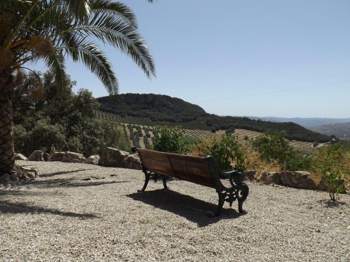 فيلا La Casita, Zagra La Carrera de la Viña المظهر الخارجي الصورة