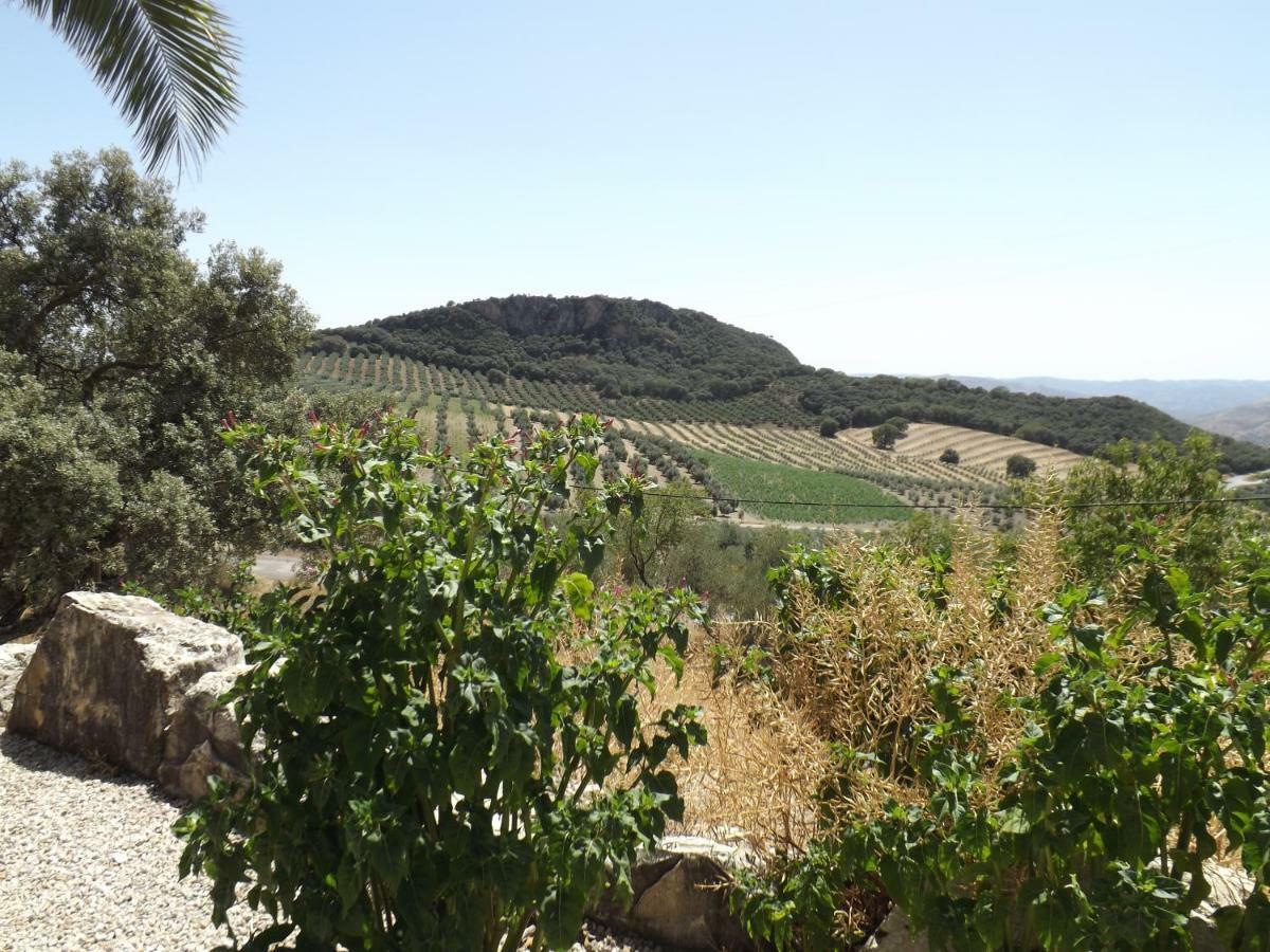 فيلا La Casita, Zagra La Carrera de la Viña المظهر الخارجي الصورة
