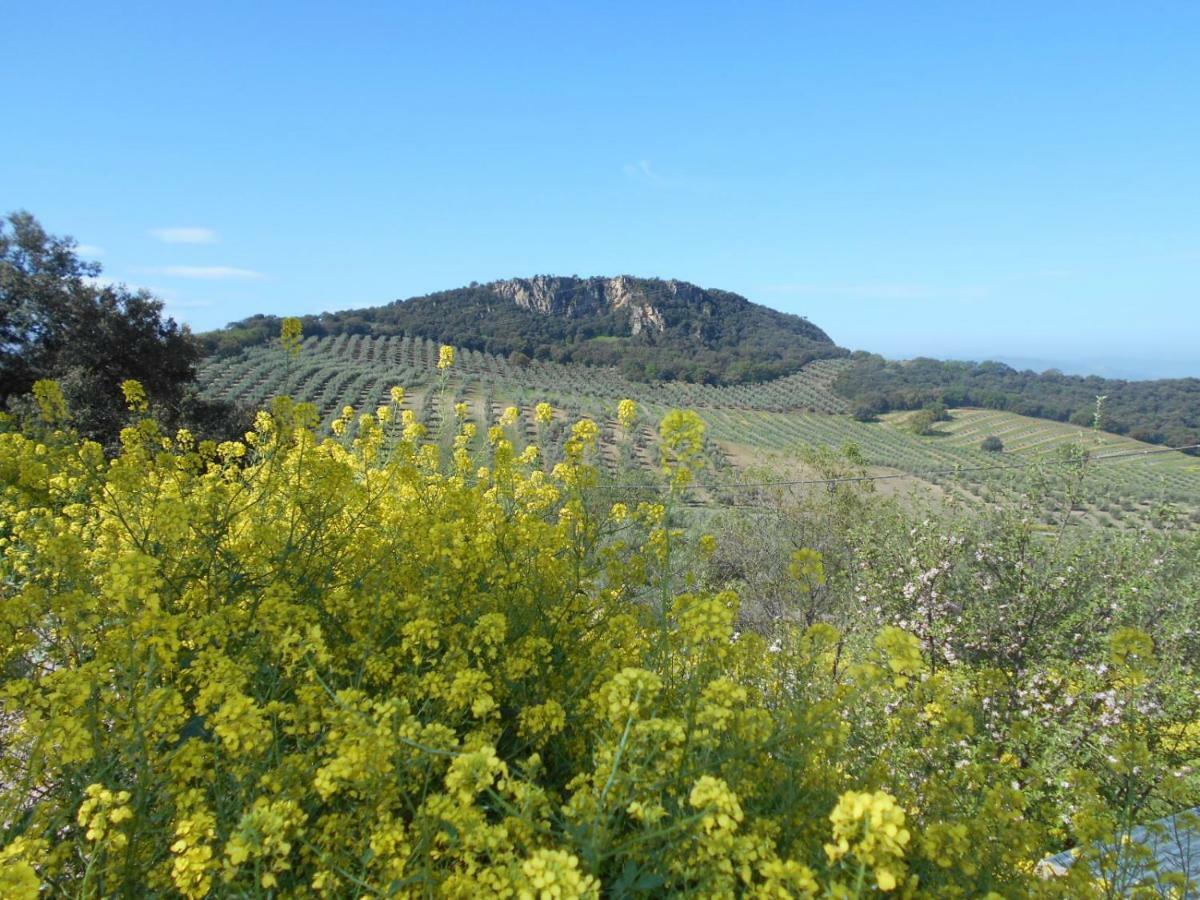فيلا La Casita, Zagra La Carrera de la Viña المظهر الخارجي الصورة