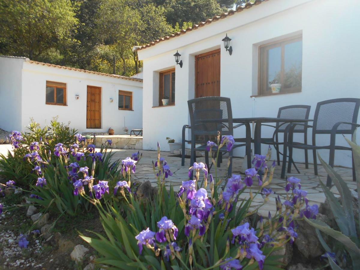 فيلا La Casita, Zagra La Carrera de la Viña المظهر الخارجي الصورة